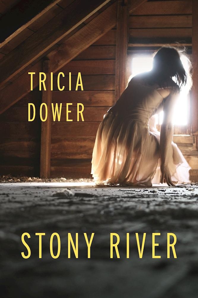 Book cover image for Stony River ISBN: 9781935248866